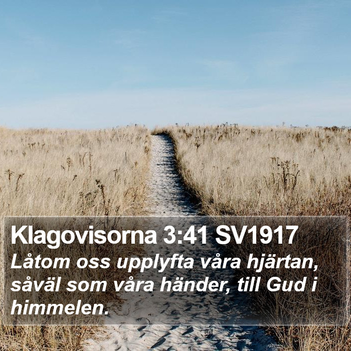 Klagovisorna 3:41 SV1917 Bible Study