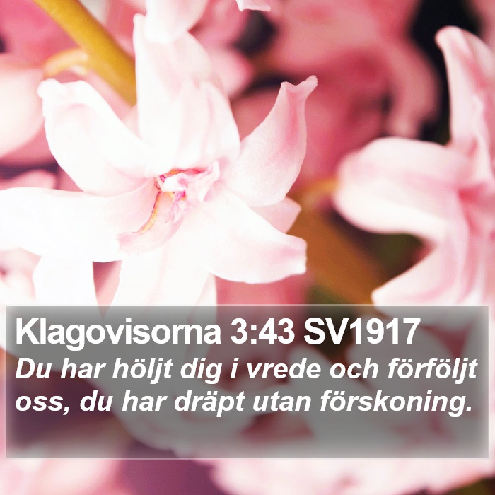 Klagovisorna 3:43 SV1917 Bible Study