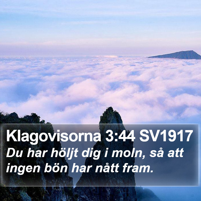 Klagovisorna 3:44 SV1917 Bible Study