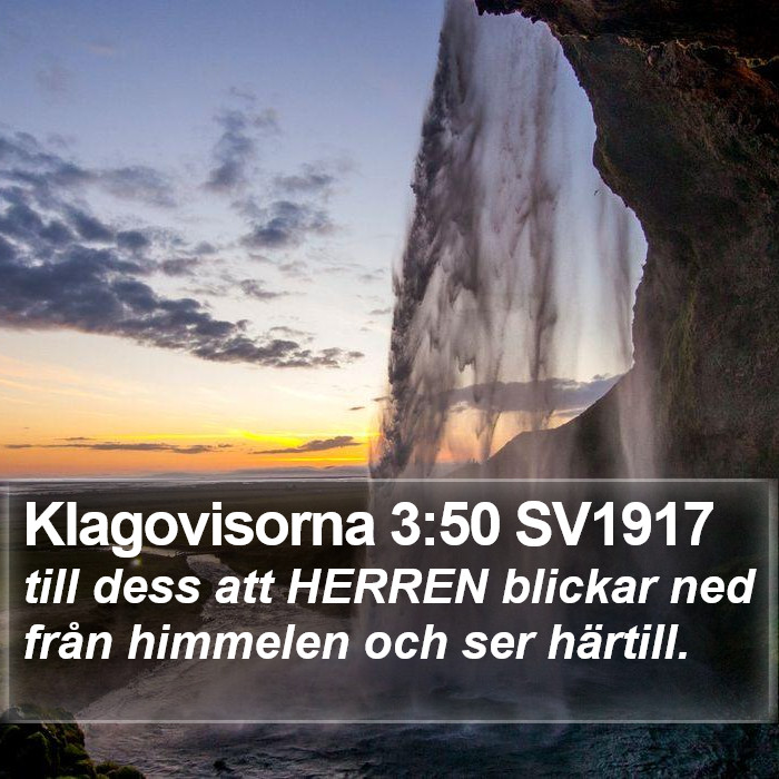 Klagovisorna 3:50 SV1917 Bible Study