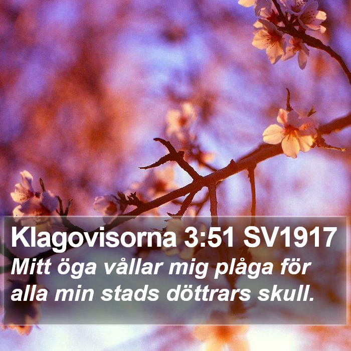 Klagovisorna 3:51 SV1917 Bible Study
