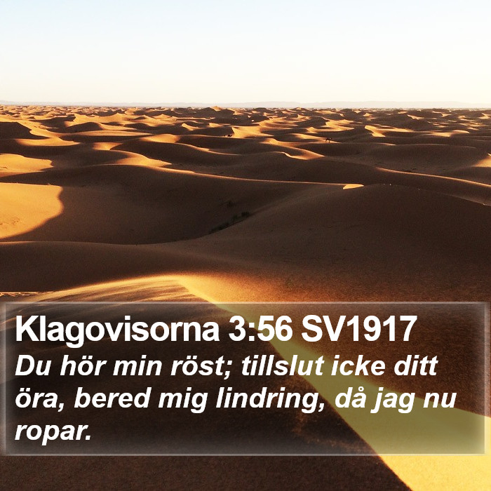 Klagovisorna 3:56 SV1917 Bible Study