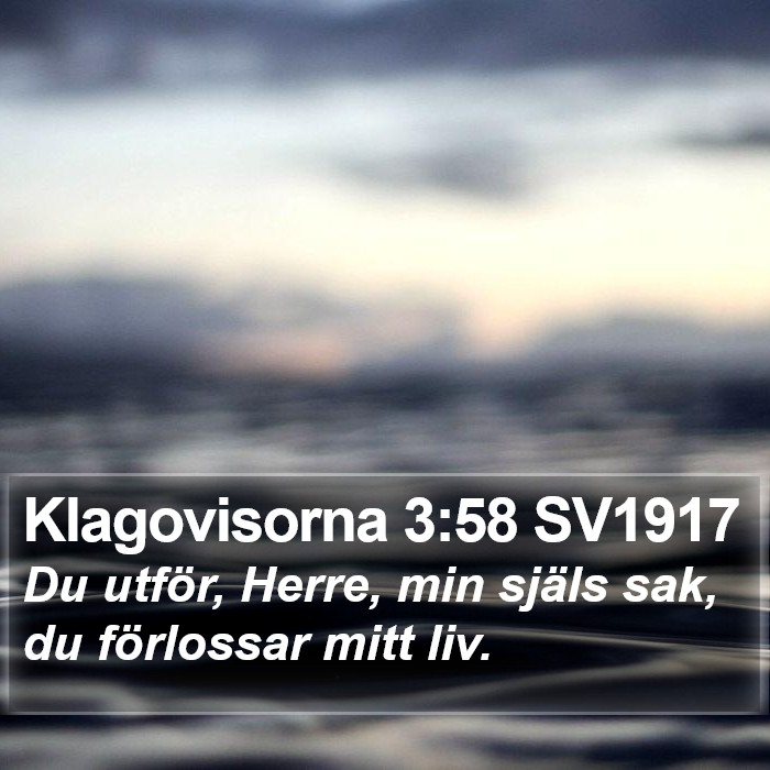 Klagovisorna 3:58 SV1917 Bible Study