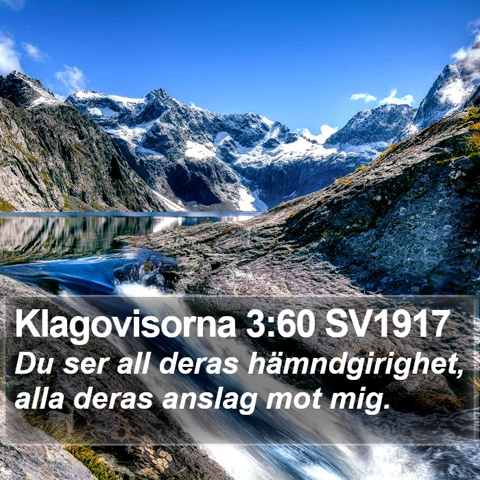 Klagovisorna 3:60 SV1917 Bible Study