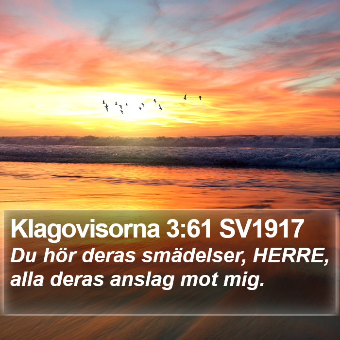 Klagovisorna 3:61 SV1917 Bible Study