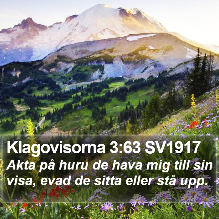Klagovisorna 3:63 SV1917 Bible Study