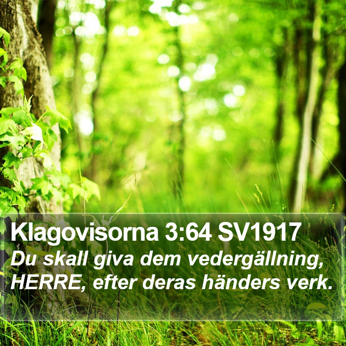 Klagovisorna 3:64 SV1917 Bible Study