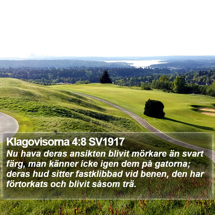 Klagovisorna 4:8 SV1917 Bible Study