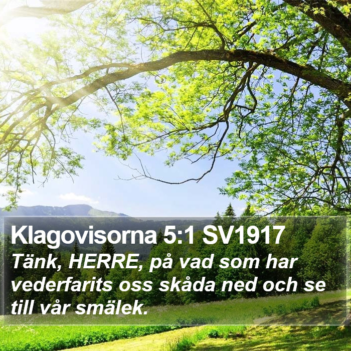 Klagovisorna 5:1 SV1917 Bible Study