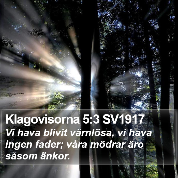 Klagovisorna 5:3 SV1917 Bible Study