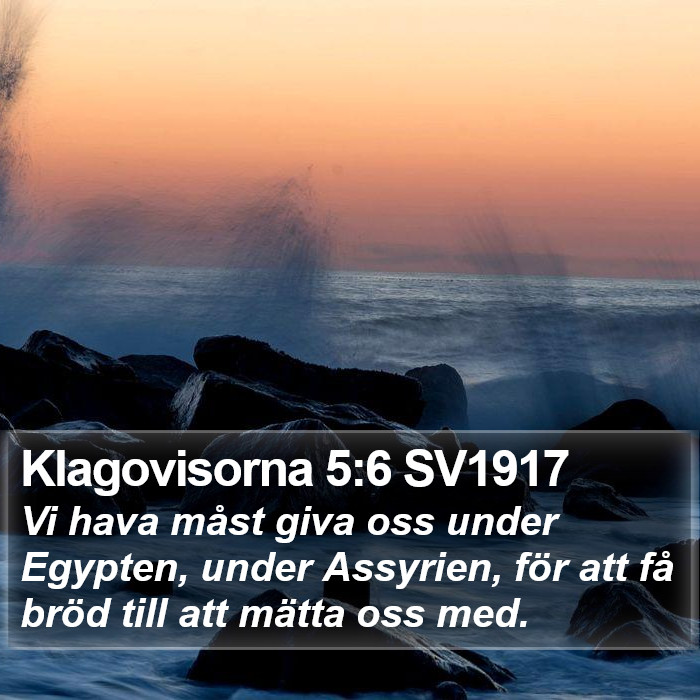 Klagovisorna 5:6 SV1917 Bible Study