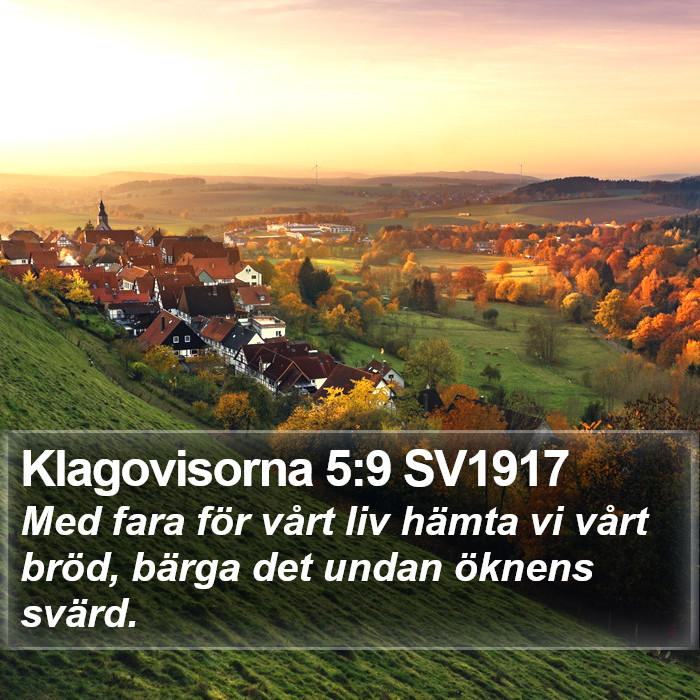 Klagovisorna 5:9 SV1917 Bible Study