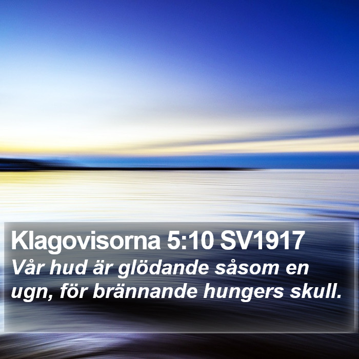 Klagovisorna 5:10 SV1917 Bible Study