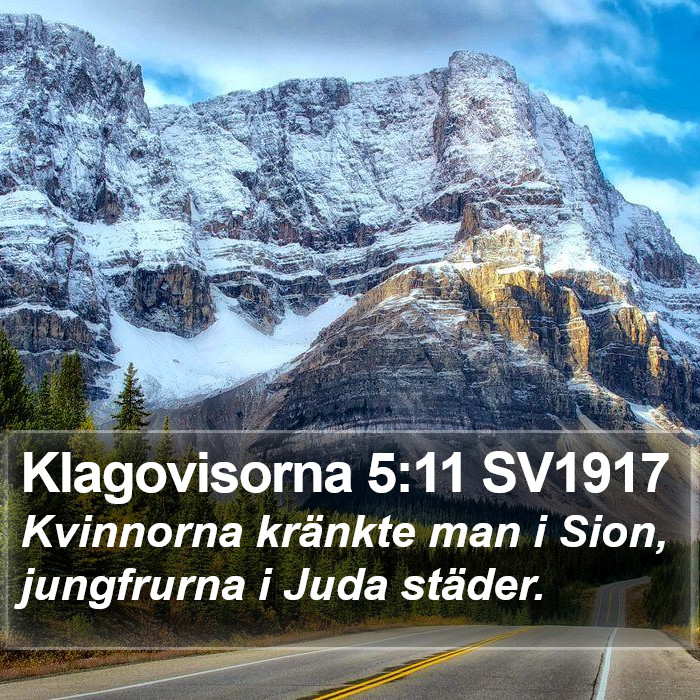 Klagovisorna 5:11 SV1917 Bible Study