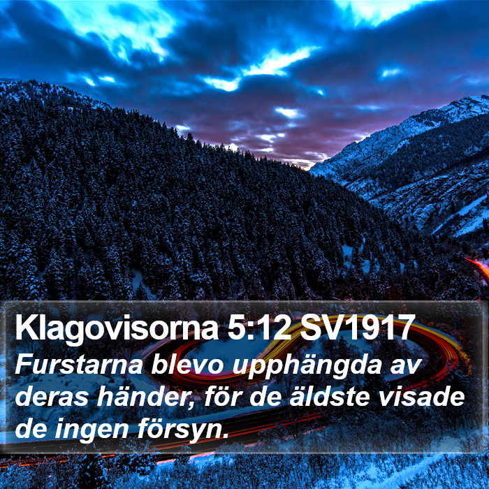 Klagovisorna 5:12 SV1917 Bible Study