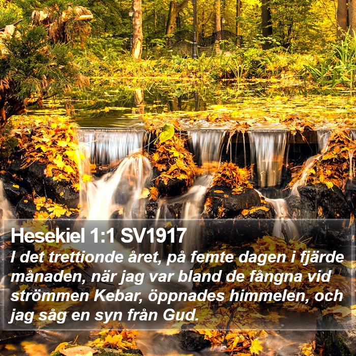 Hesekiel 1:1 SV1917 Bible Study