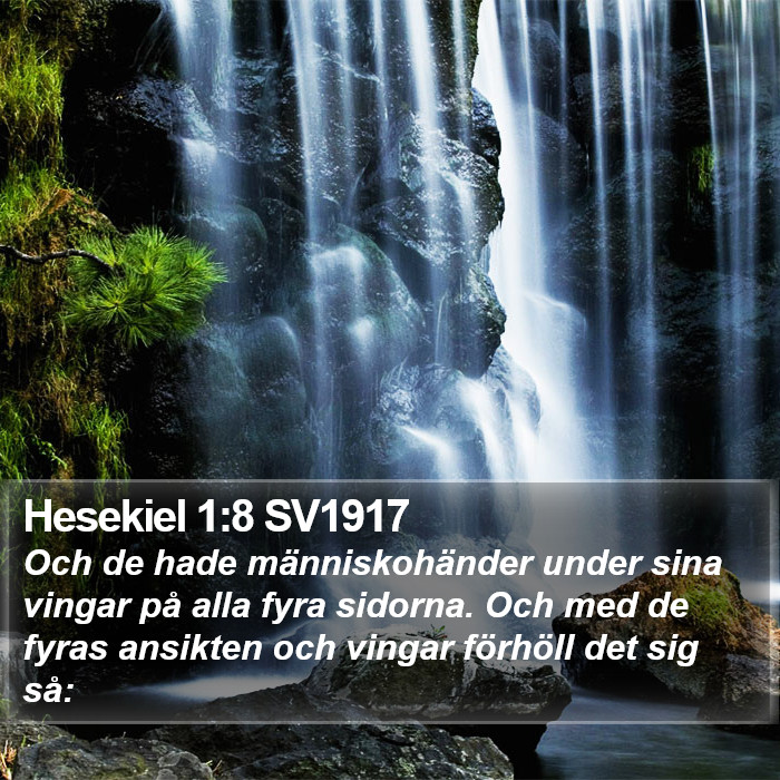 Hesekiel 1:8 SV1917 Bible Study