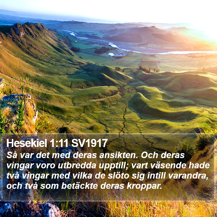 Hesekiel 1:11 SV1917 Bible Study