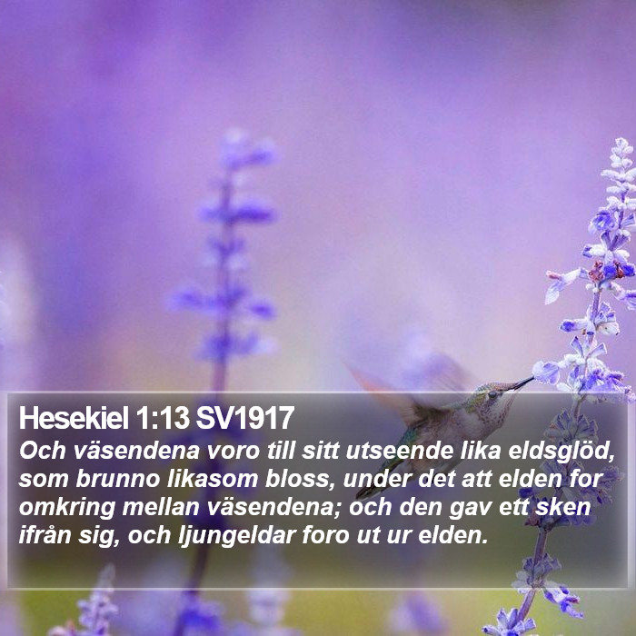 Hesekiel 1:13 SV1917 Bible Study