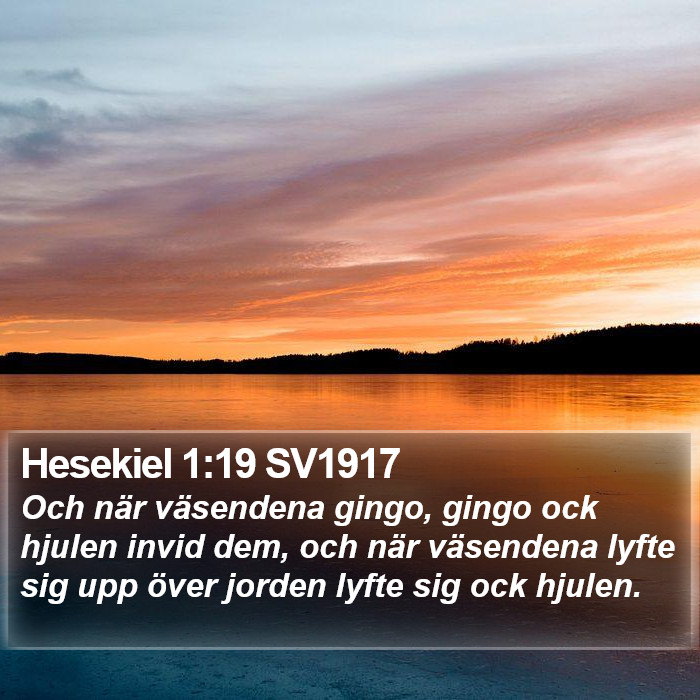 Hesekiel 1:19 SV1917 Bible Study