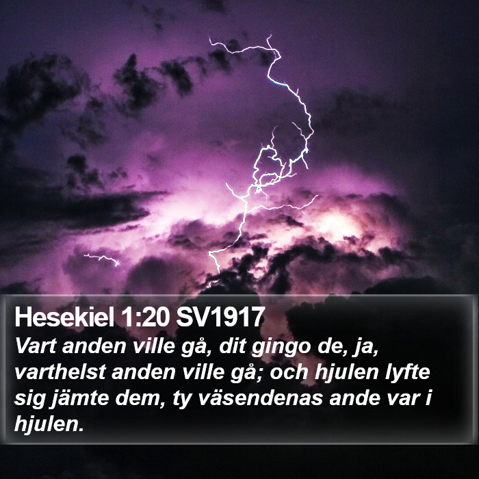 Hesekiel 1:20 SV1917 Bible Study