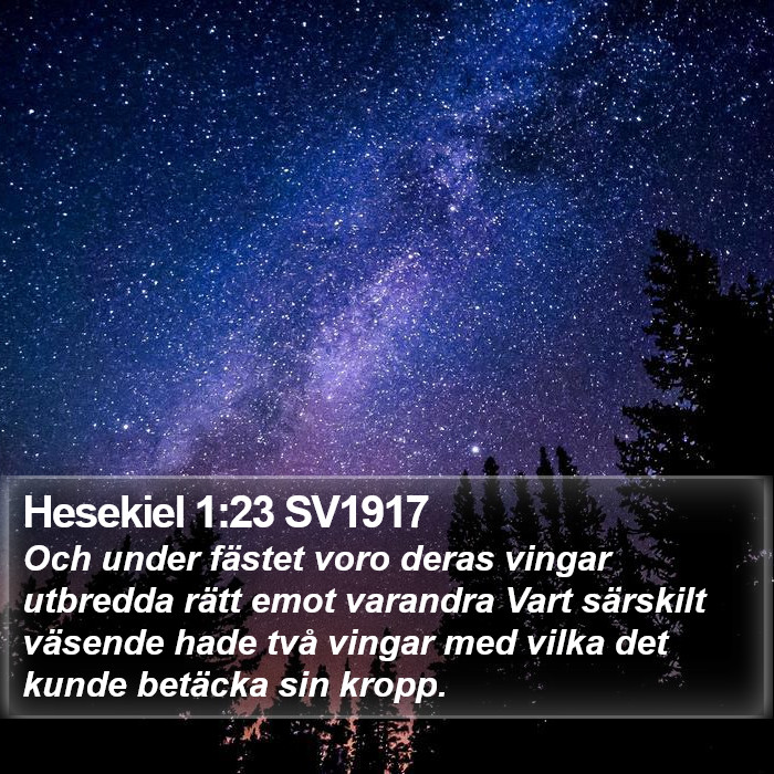 Hesekiel 1:23 SV1917 Bible Study