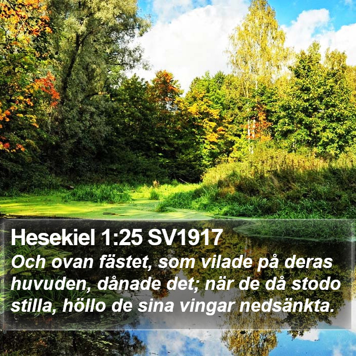 Hesekiel 1:25 SV1917 Bible Study