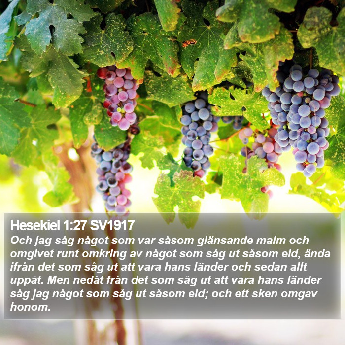 Hesekiel 1:27 SV1917 Bible Study