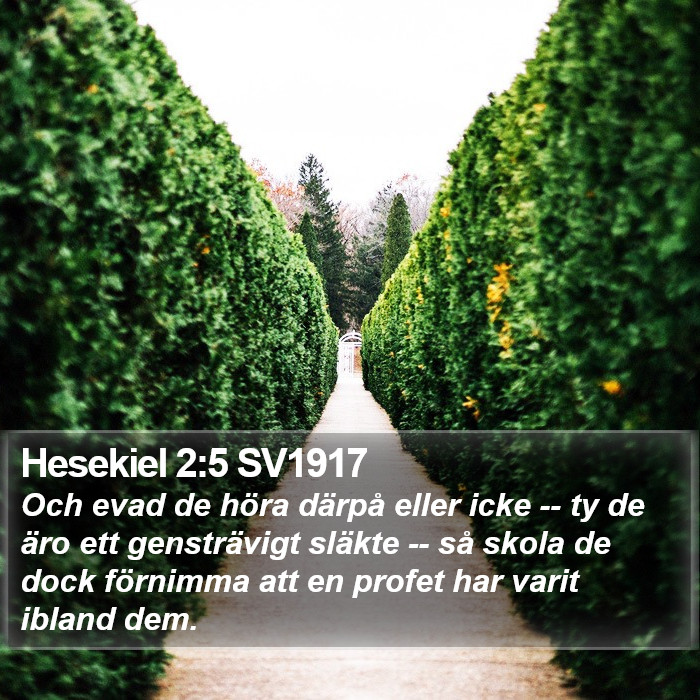 Hesekiel 2:5 SV1917 Bible Study