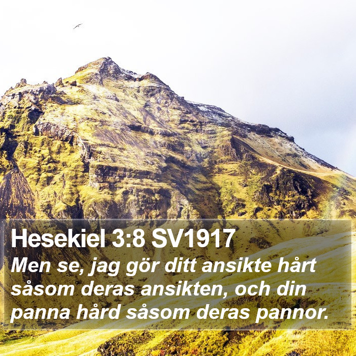 Hesekiel 3:8 SV1917 Bible Study