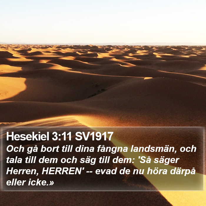 Hesekiel 3:11 SV1917 Bible Study