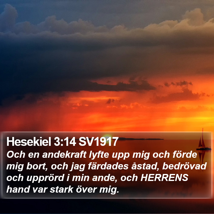 Hesekiel 3:14 SV1917 Bible Study