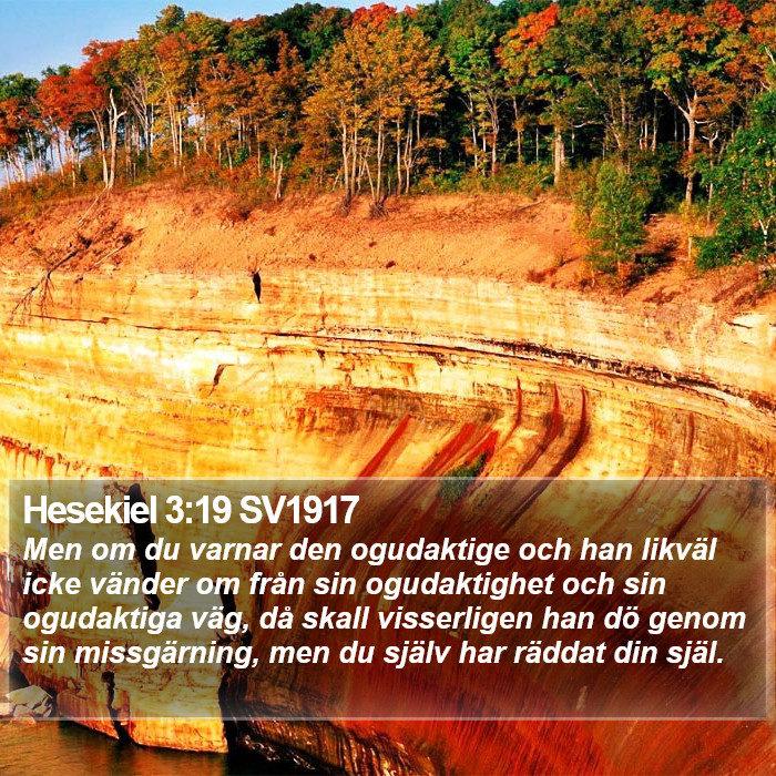 Hesekiel 3:19 SV1917 Bible Study