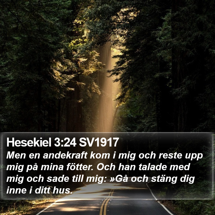 Hesekiel 3:24 SV1917 Bible Study