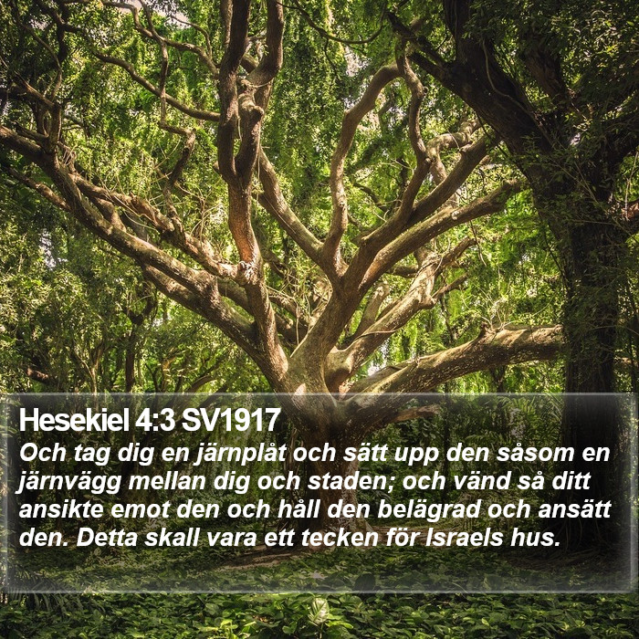 Hesekiel 4:3 SV1917 Bible Study