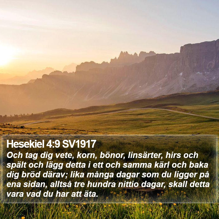 Hesekiel 4:9 SV1917 Bible Study