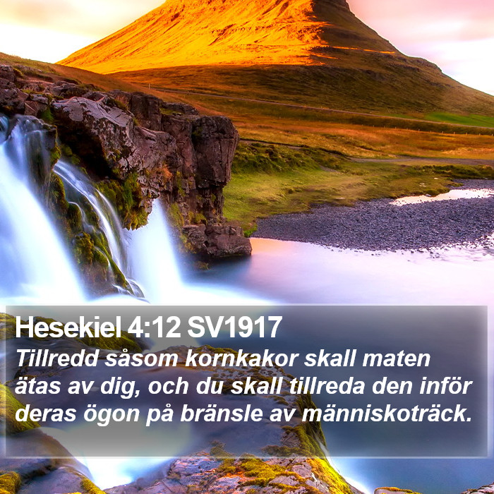 Hesekiel 4:12 SV1917 Bible Study