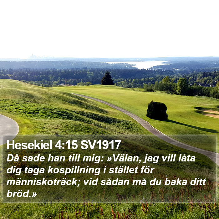 Hesekiel 4:15 SV1917 Bible Study