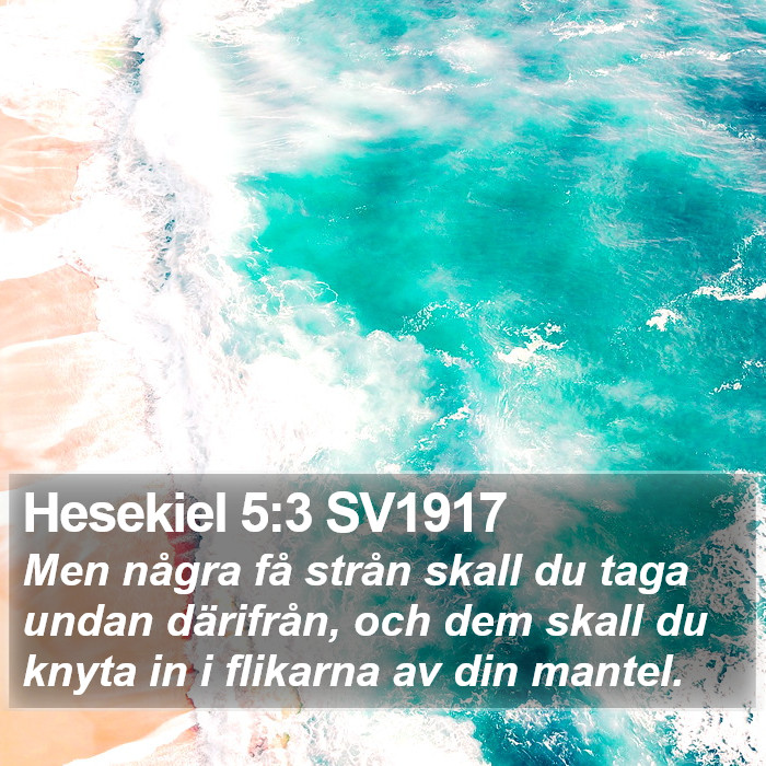 Hesekiel 5:3 SV1917 Bible Study