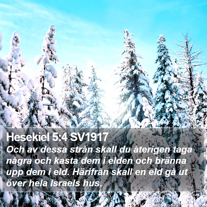 Hesekiel 5:4 SV1917 Bible Study