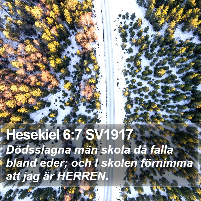 Hesekiel 6:7 SV1917 Bible Study