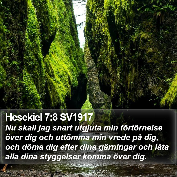 Hesekiel 7:8 SV1917 Bible Study