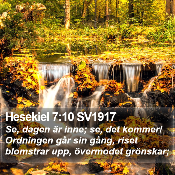 Hesekiel 7:10 SV1917 Bible Study