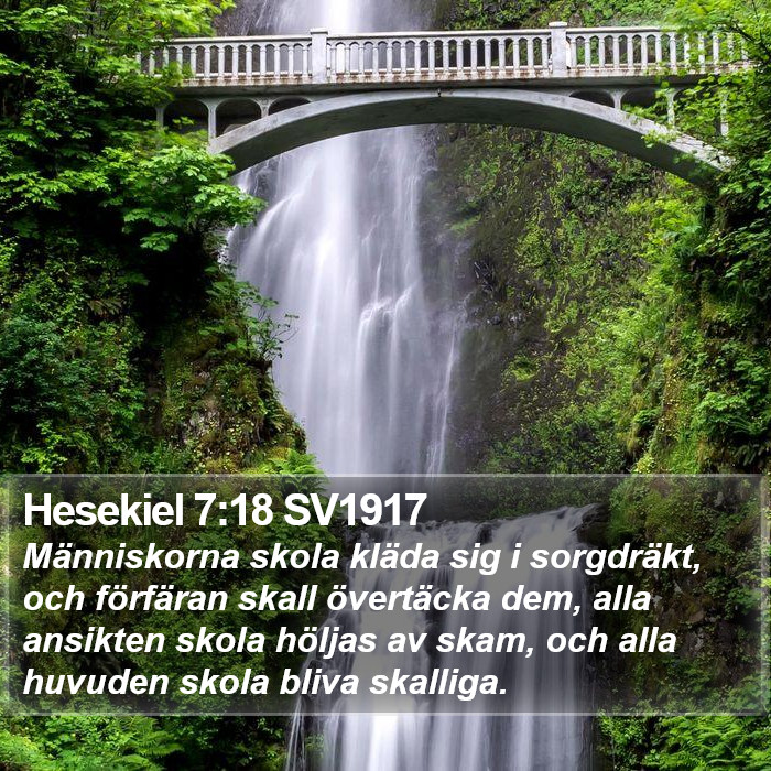 Hesekiel 7:18 SV1917 Bible Study