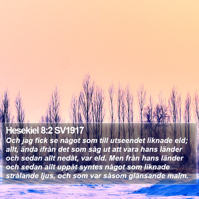 Hesekiel 8:2 SV1917 Bible Study