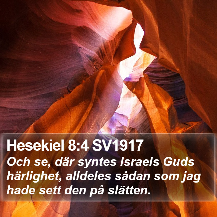 Hesekiel 8:4 SV1917 Bible Study