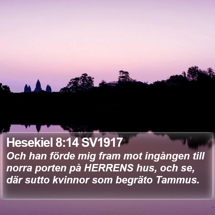 Hesekiel 8:14 SV1917 Bible Study