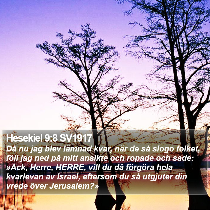 Hesekiel 9:8 SV1917 Bible Study