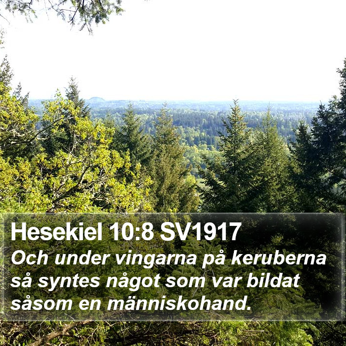 Hesekiel 10:8 SV1917 Bible Study