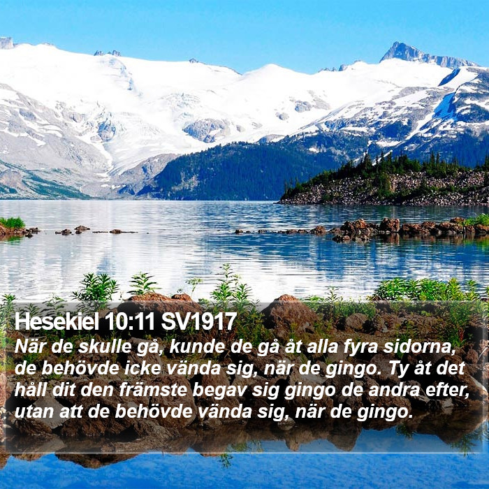 Hesekiel 10:11 SV1917 Bible Study